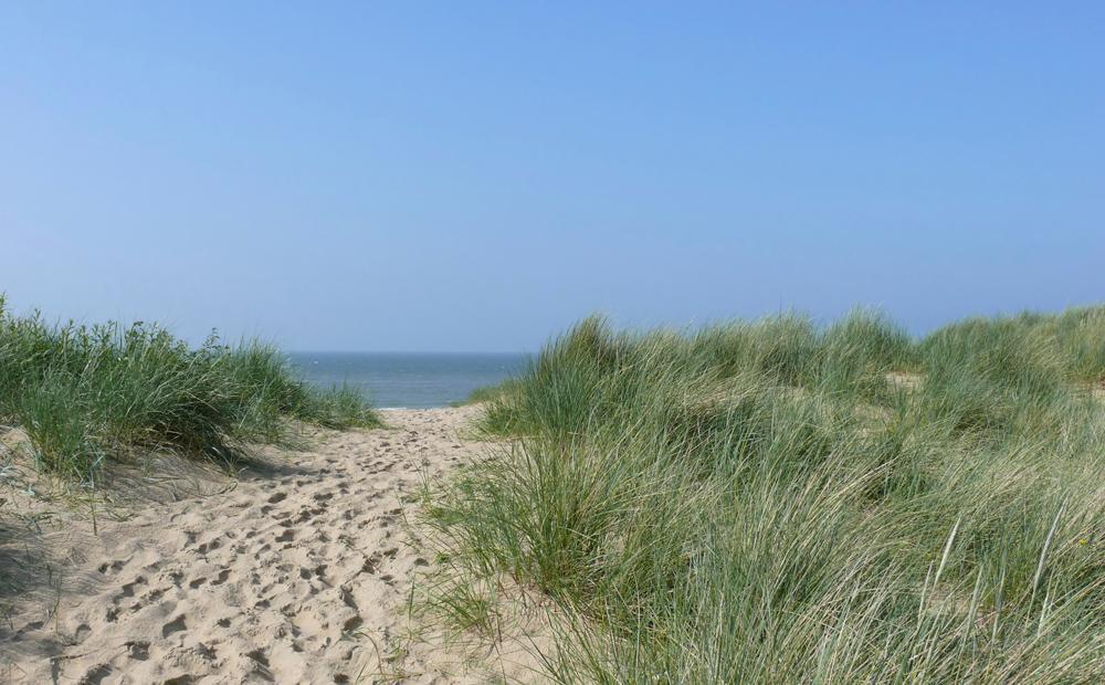 Camping Ginsterveld Burgh-Haamstede Eksteriør billede